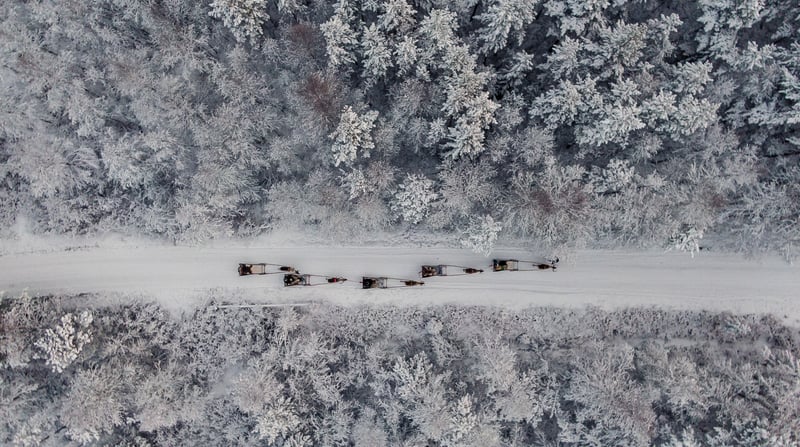 Winterse treinreis naar Fins Lapland