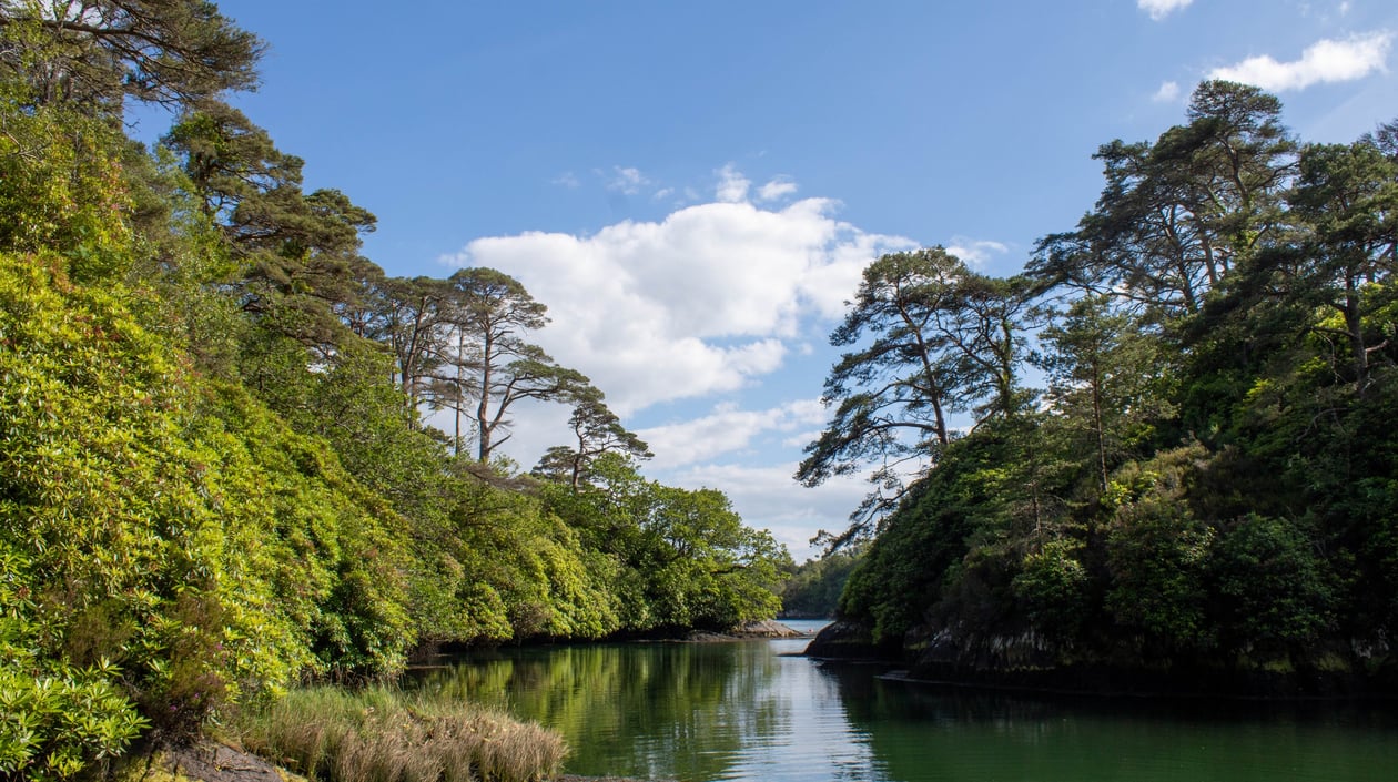 Blue Pool West cork shutterstock_2014230104