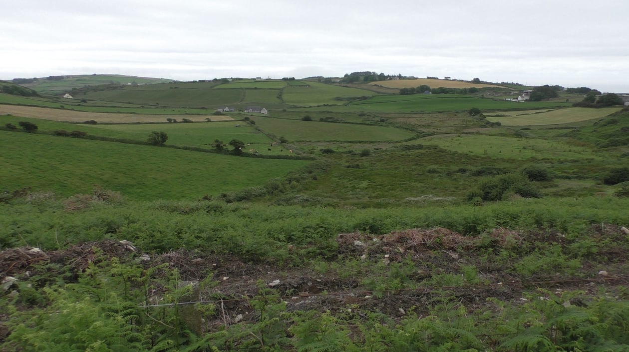 Domberg West Cork