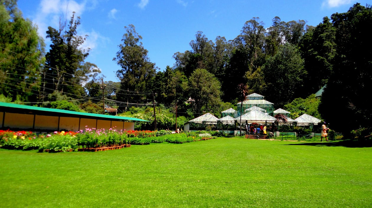 Ooty Botanical_Garden,OOTY_,TAMIL_NADU