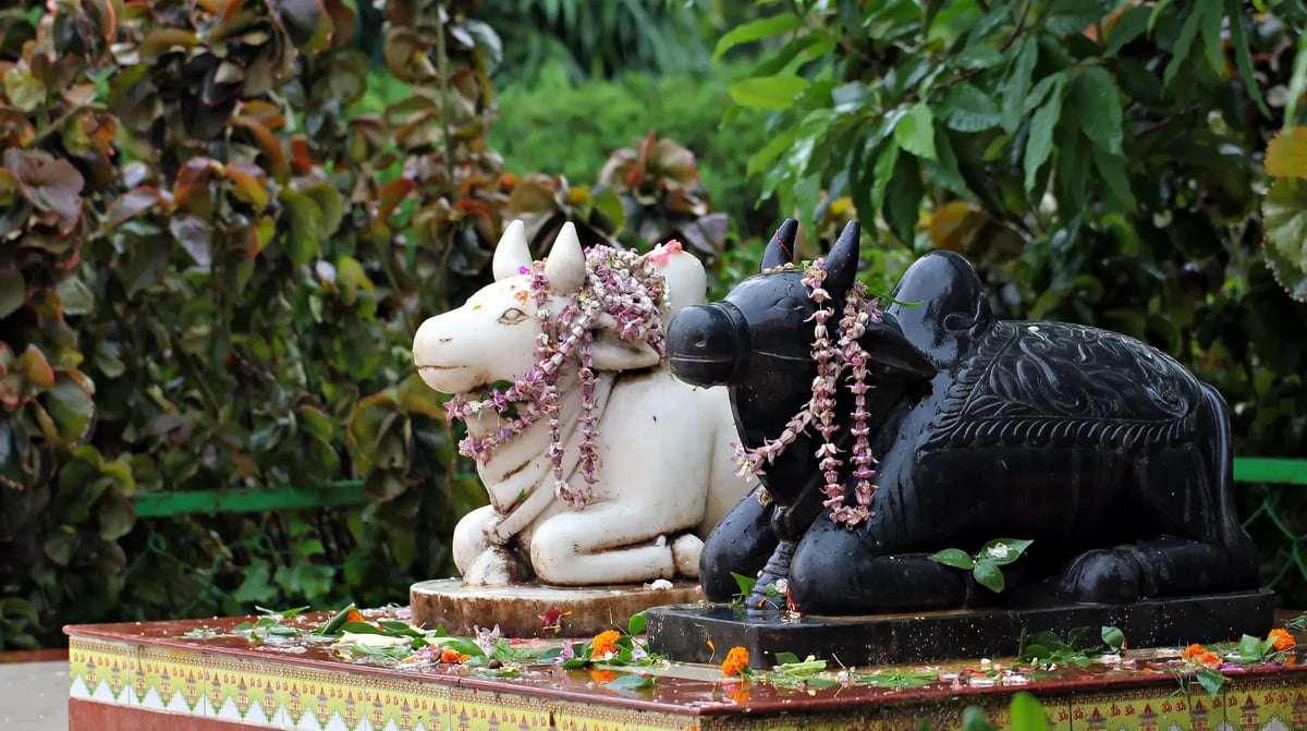 India, Kalna, shiva temples, statue of holy bull nandi_1179084034