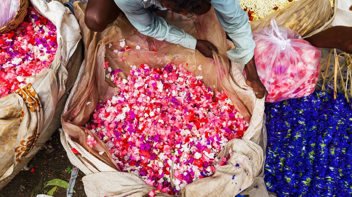 India, Calcutta, Mullik Ghat bloemenmarkt_569800468