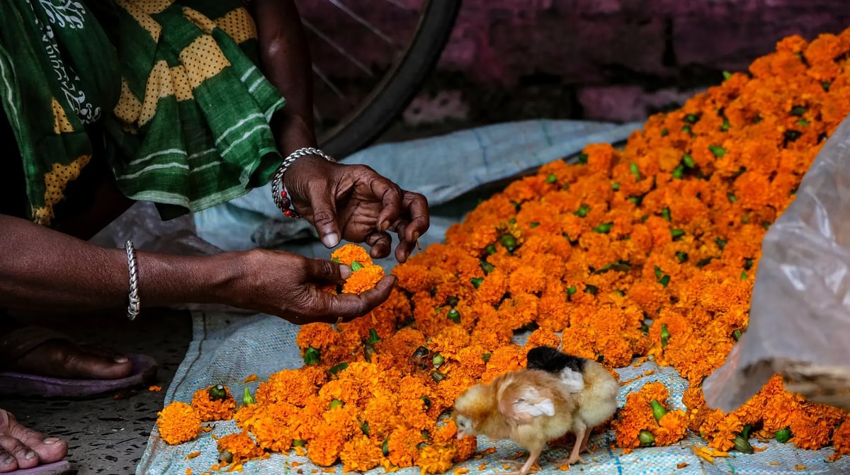 Kolkata, Flower market, shutterstock_1822081400