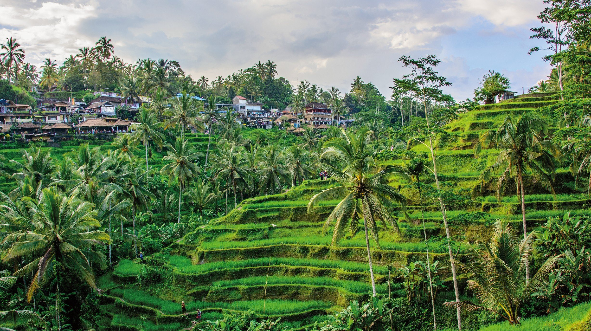 34. Ubud shutterstock_555789073-1-1