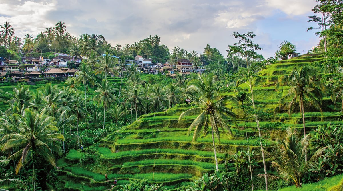 34. Ubud shutterstock_555789073
