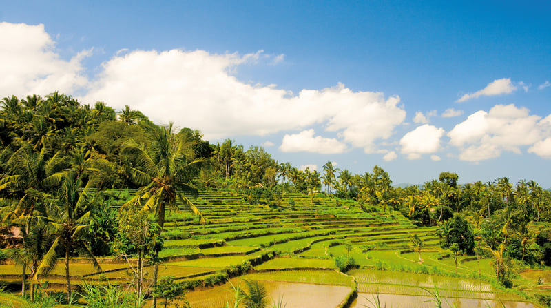 Cruise & Ontdek Bali en Cambodja