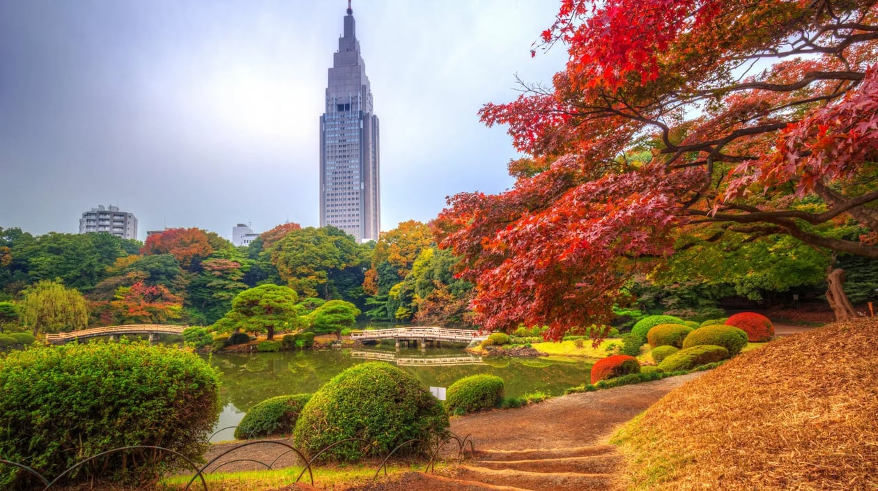 Japan - Tokio, Shinjuku park
