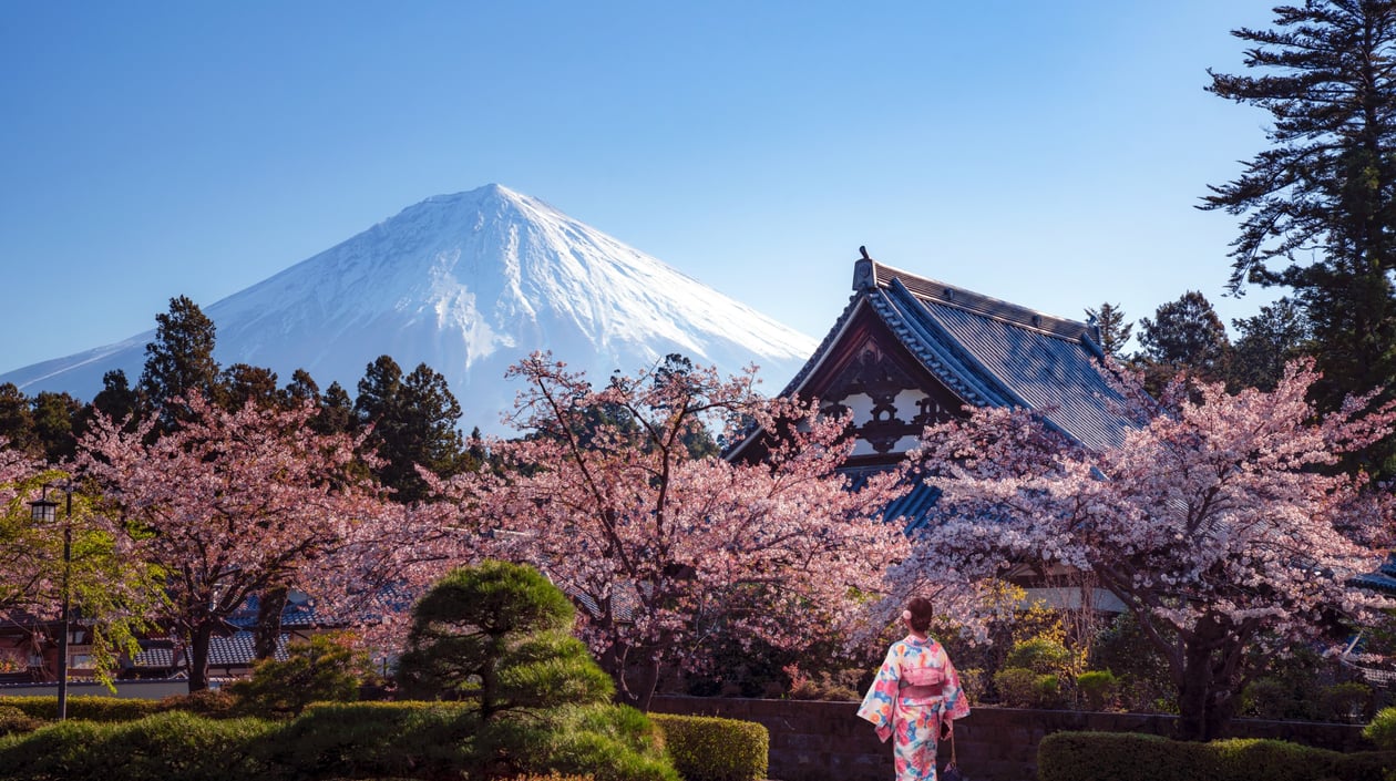 Japan - Tokyo - Sakura (2)