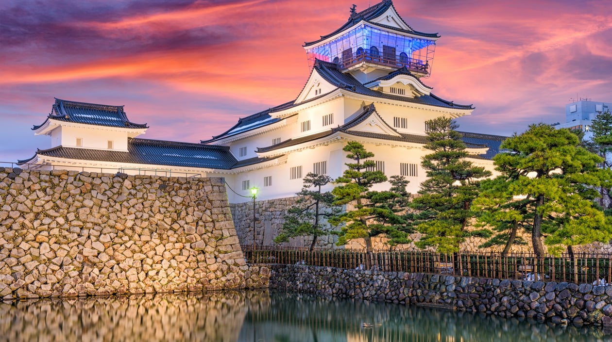 Japan - Toyama Castle