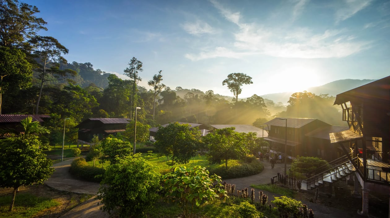Azië - Maleisië - Zonsopgang bij National Park Taman Negara