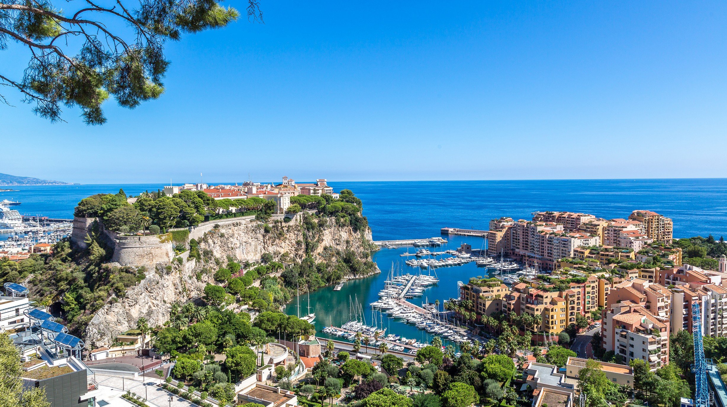 Monte Carlo