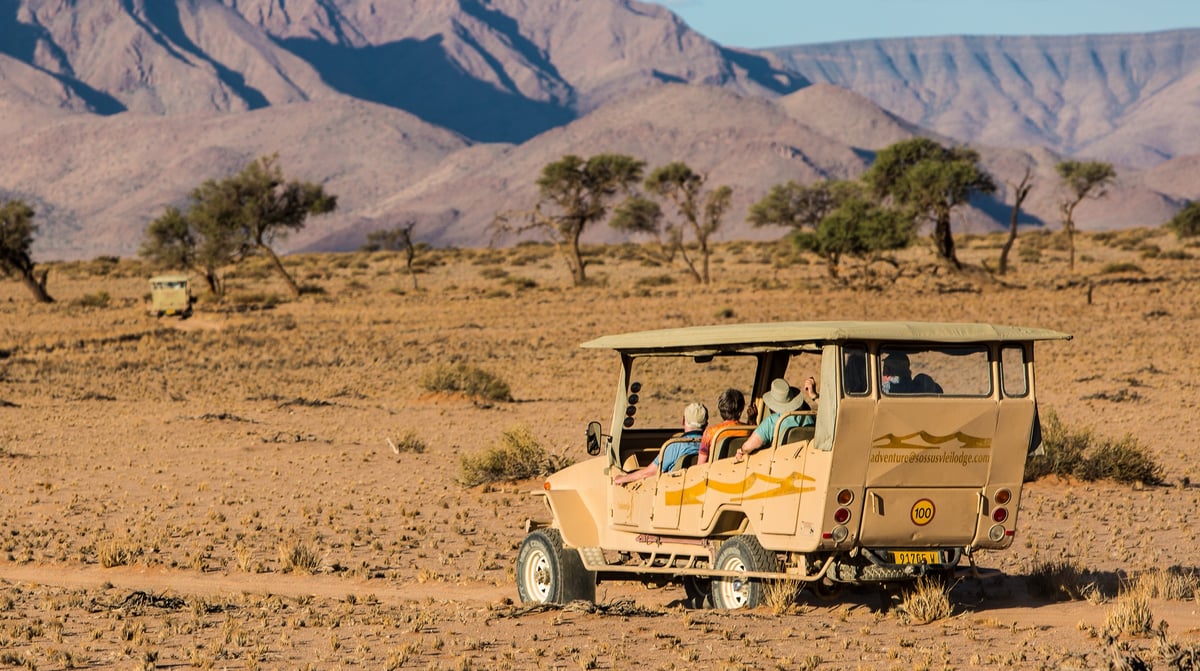 JB 2016-04 Namibië Safari 108-1
