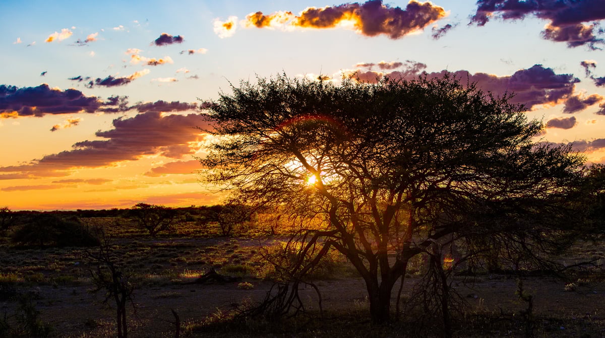 JB 2016-04 Namibië Safari 227