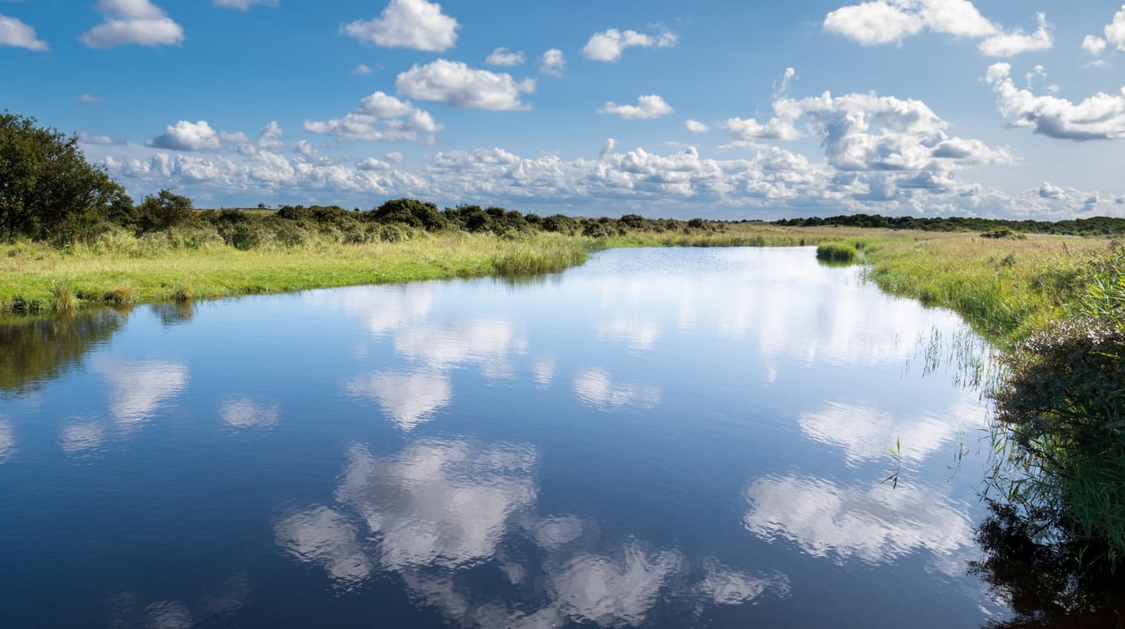 Schiermonnikoog shutterstock_1565668081