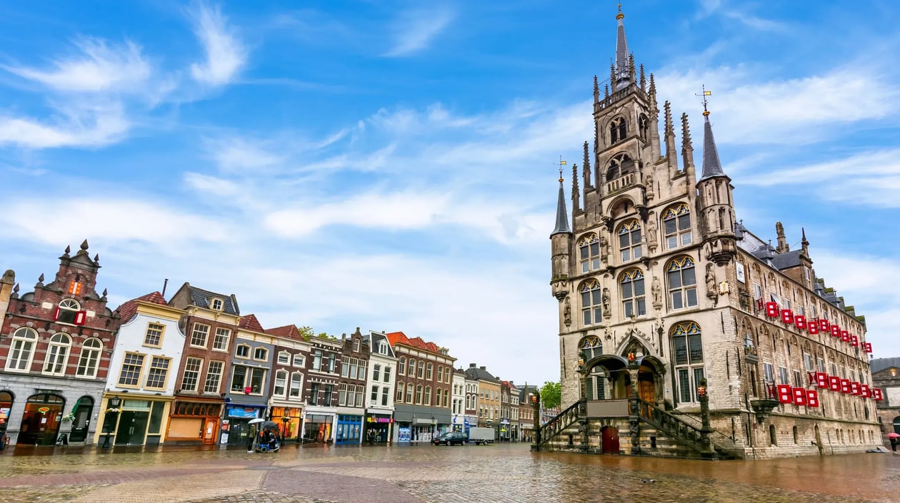 Gouda2
