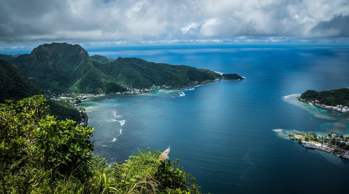 pAGO pAGO