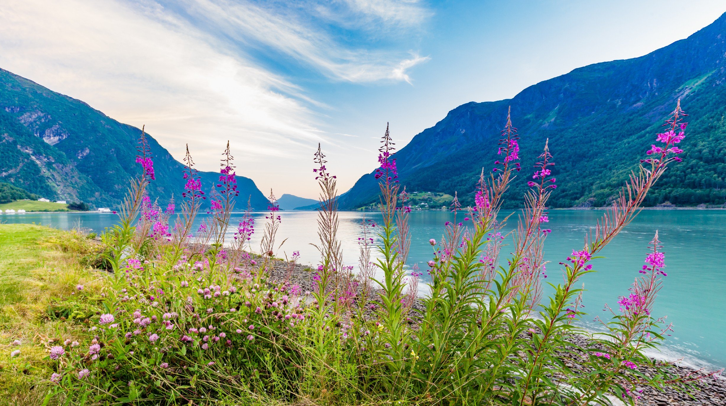 Skjolden (1)