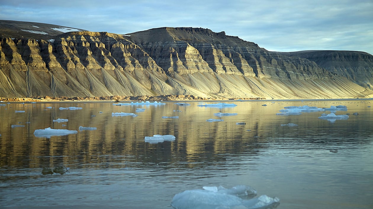 Svalbard summer 2