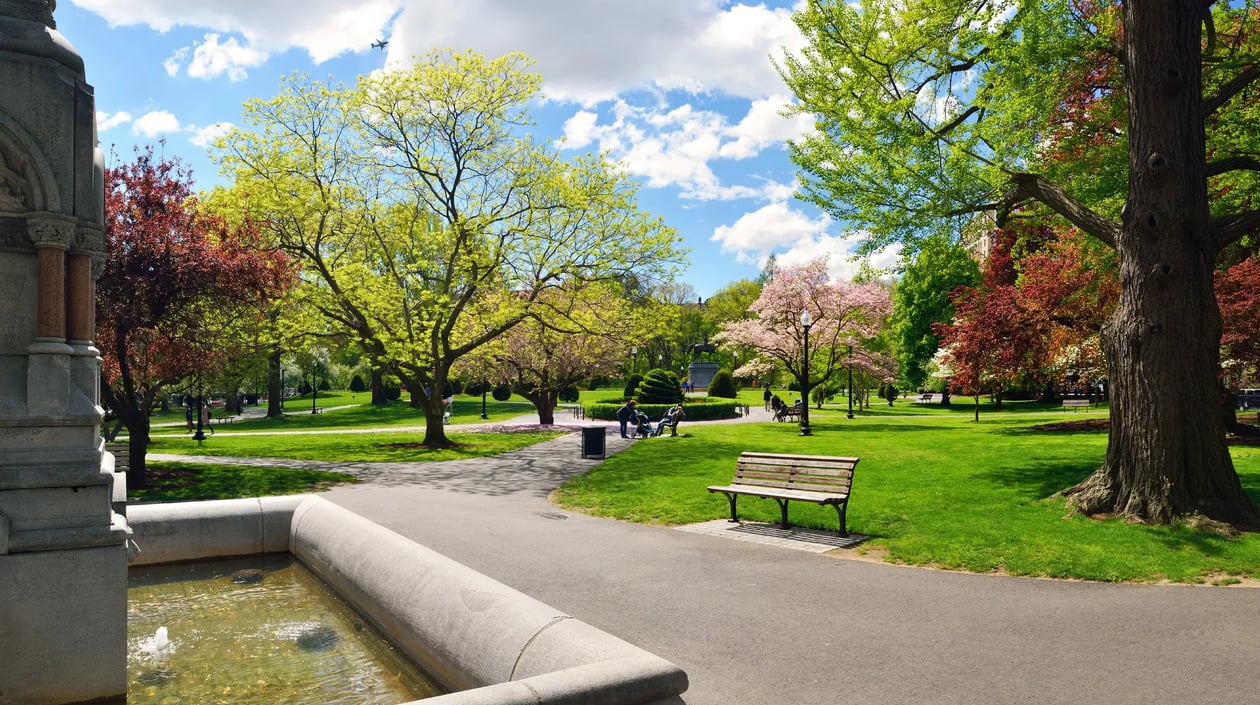Boston public garden, shutterstock_641888674