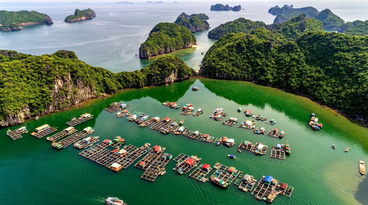 Vietnam - Ha Lang Bay
