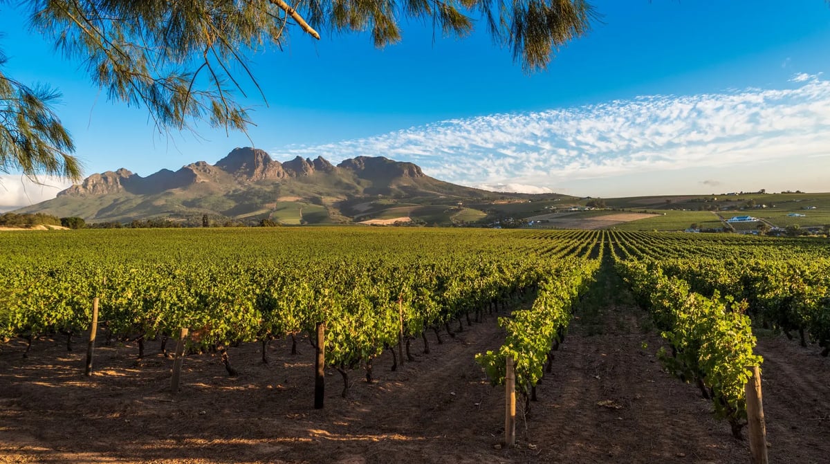 Zuid-Afrika - Kaapstad (1)