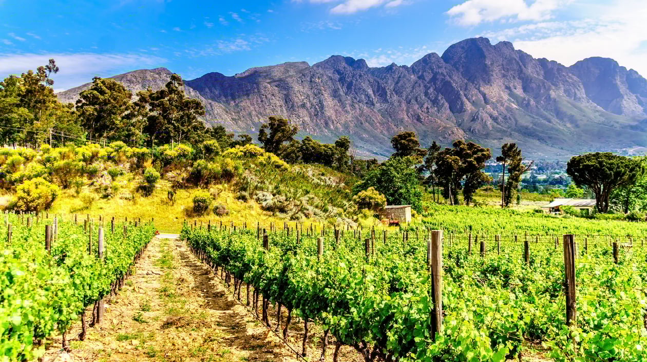 shutterstock_1794809665 Franschhoek  (2)