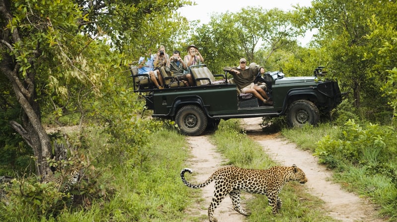 Zuid-Afrika - Krugerpark - Game Drive (3)