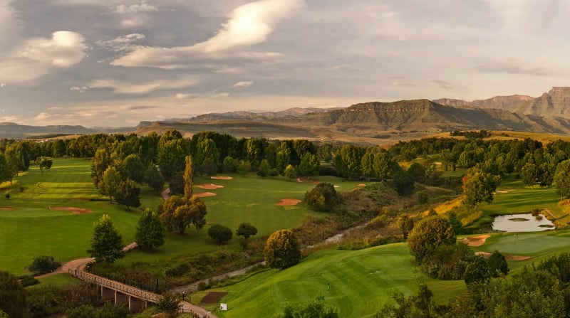 African Golf Collage: Pretoria - Kaapstad
