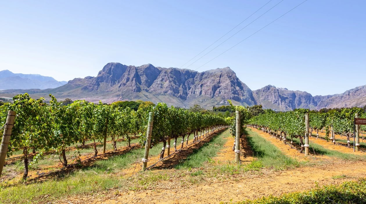 Zuid-Afrika, Stellenbosch