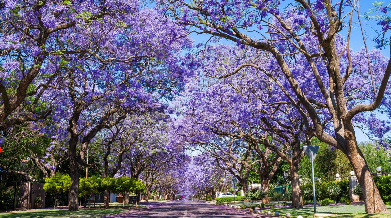Pretoria - Zuid-Afrika