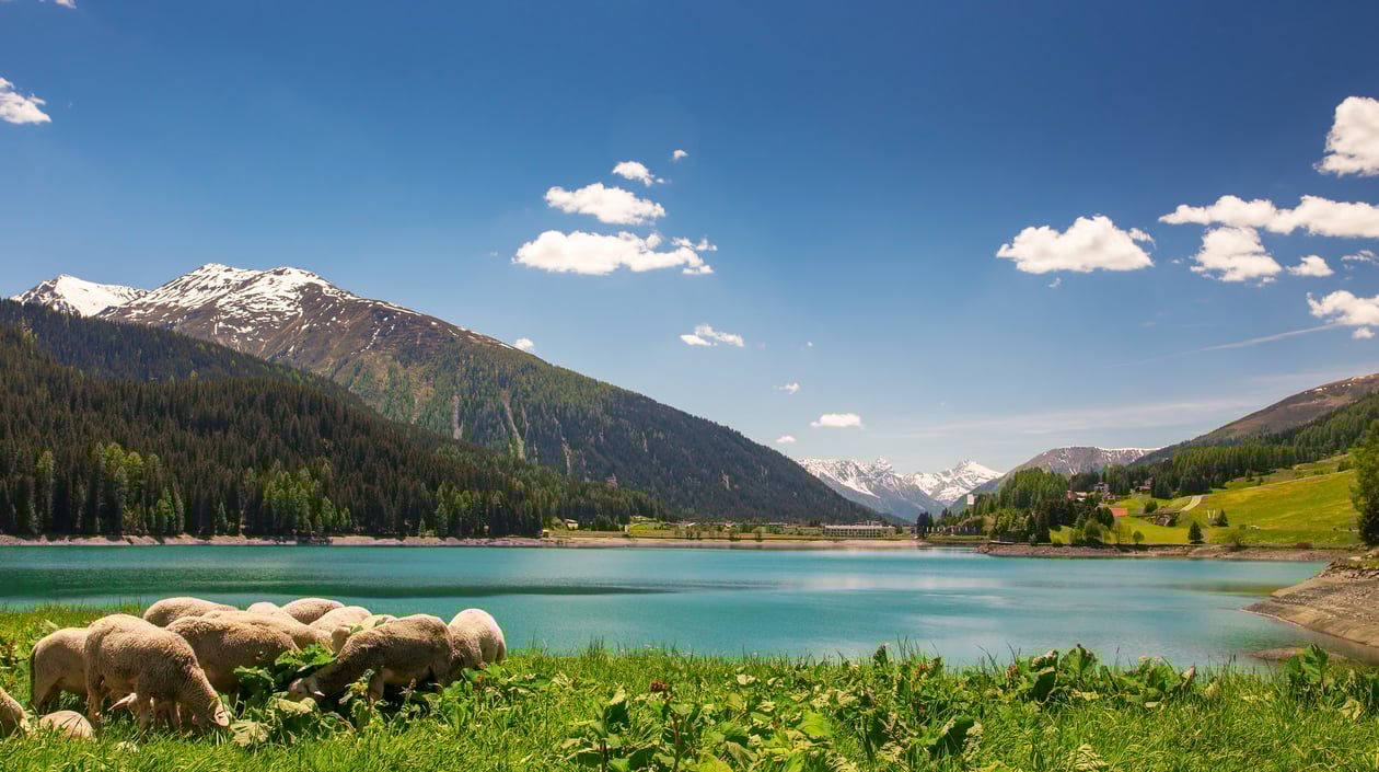 Davos_shutterstock_198201062