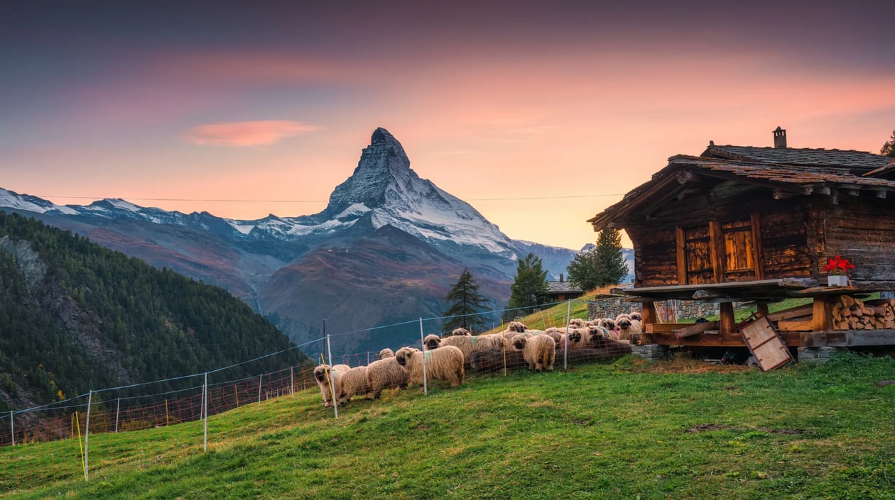 Zwitserland - Zermatt