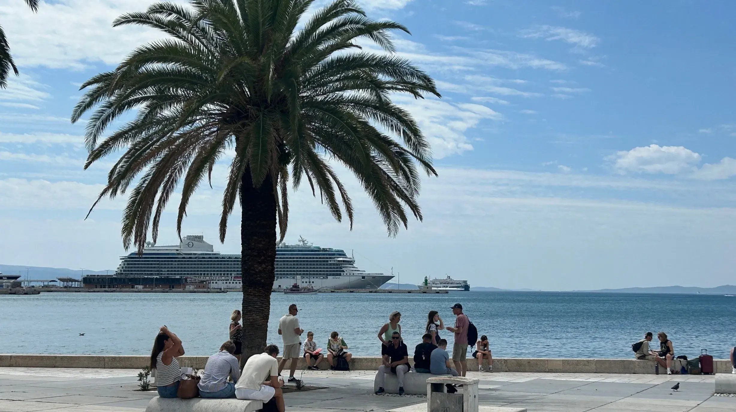 Allura-Oceania-Cruises-in-Split-Kroatie-palmboom