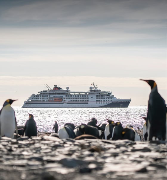 Hanseatic Nature_Rechthoek