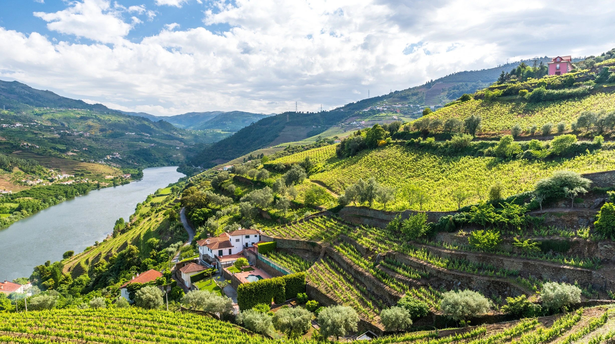 Douro Valley shutterstock_399225568