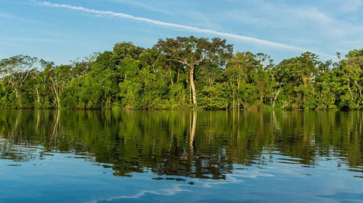amazone rivier