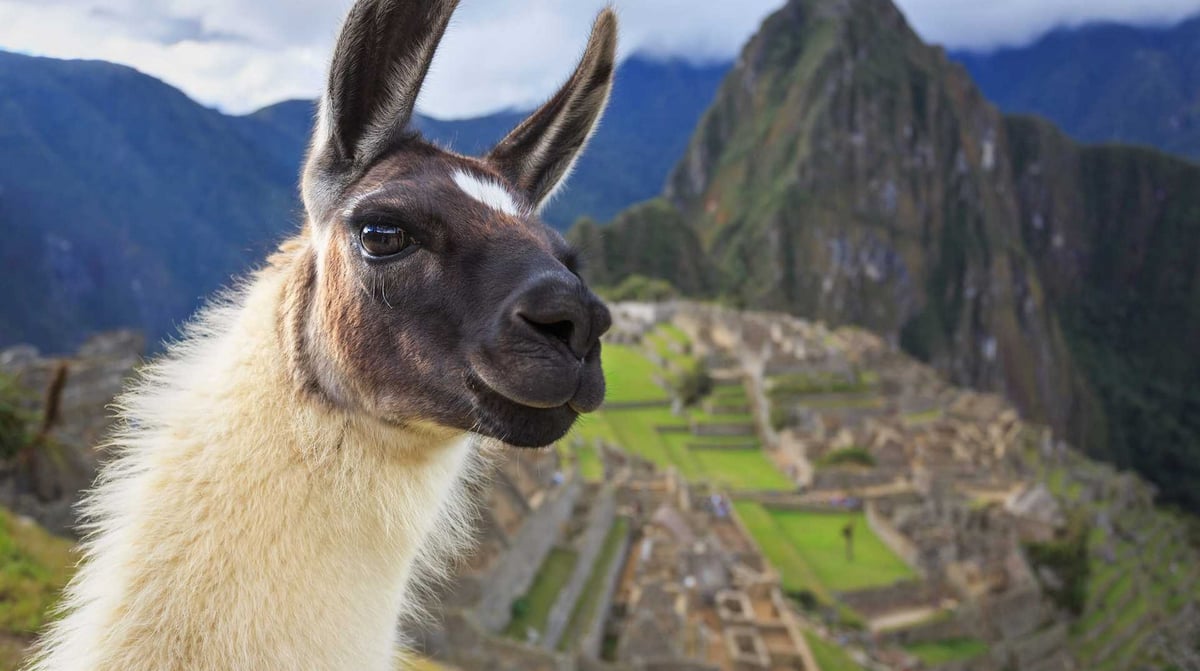 machu picchu 3 amazone