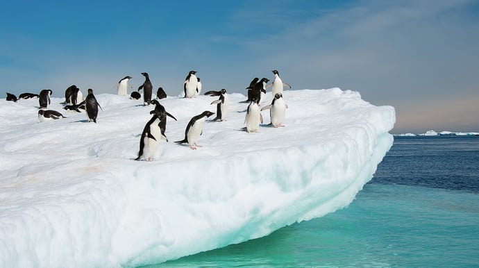 All-inclusive cruise