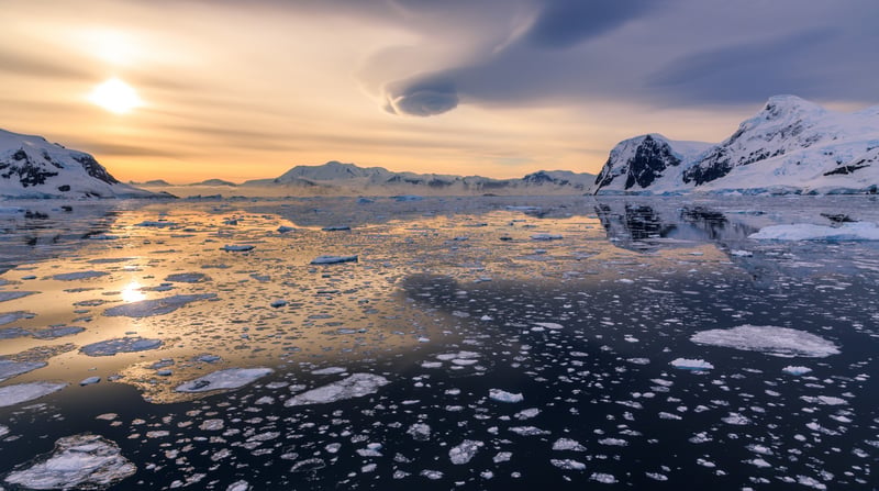 Cruise naar Antarctica