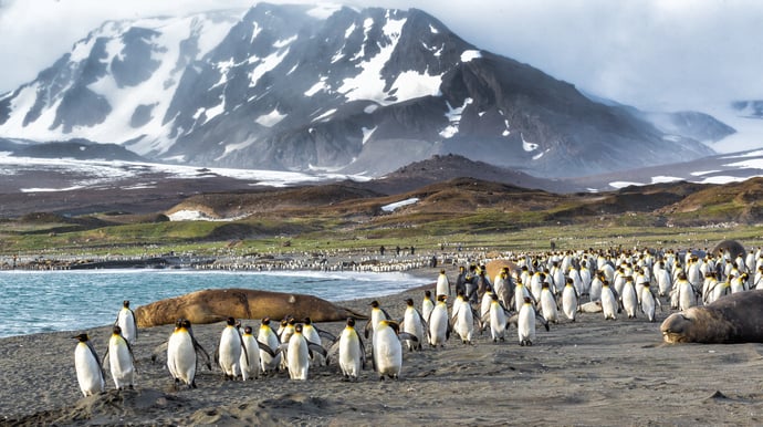 Met de Silver Endeavour naar Antarctica