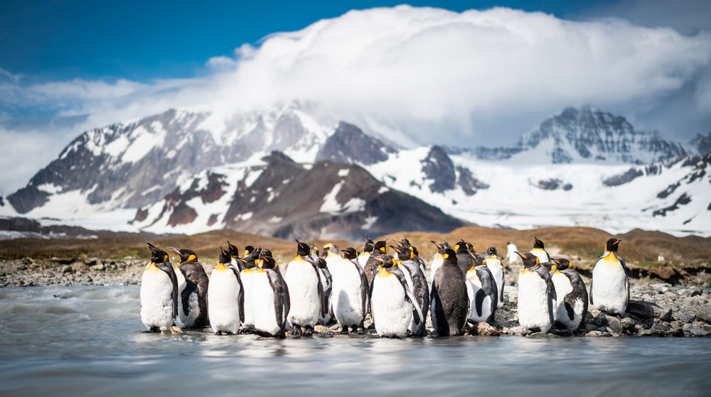 Zuid-Amerika en Antarctica