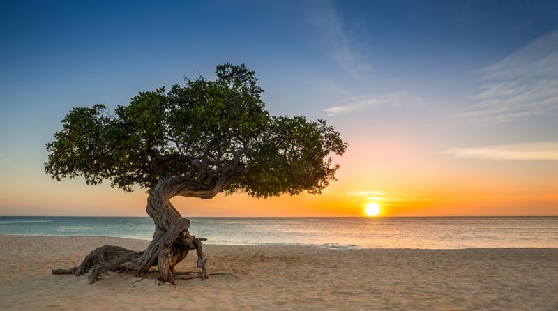 Winterzon in de Caribbean