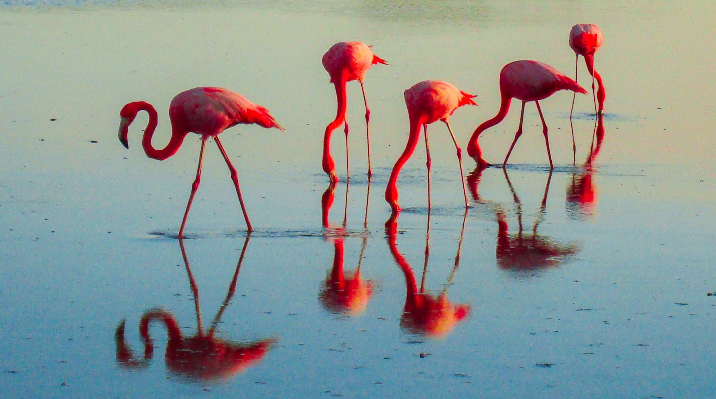 Bonaire