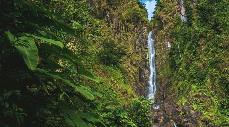 Dominica (1)