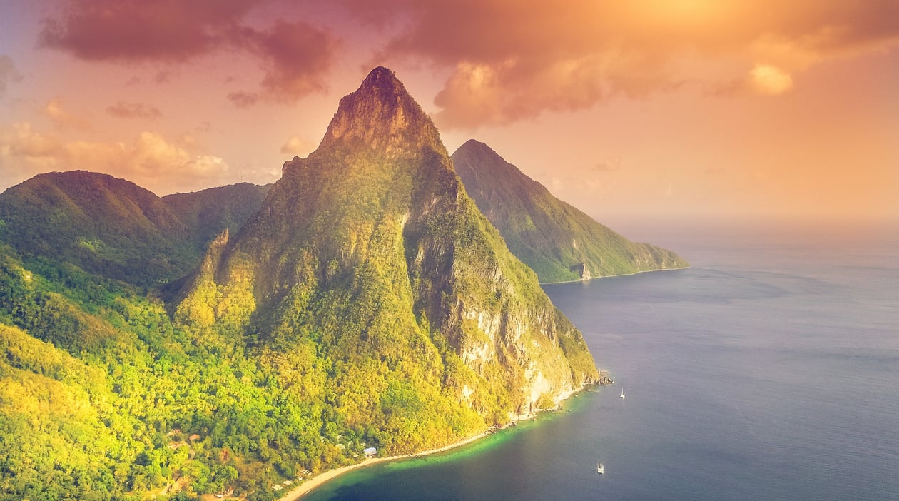 Cruise Vista