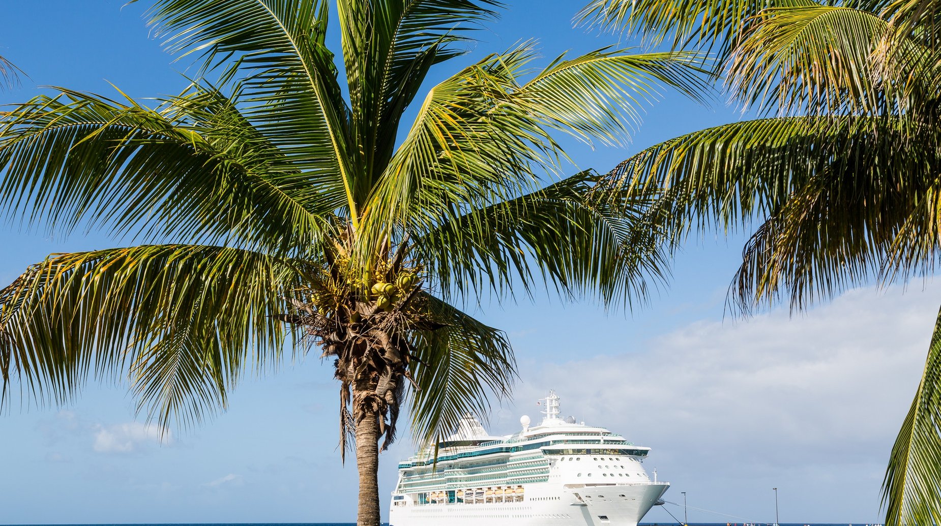luxe cruiseschip met palmbomen carribean