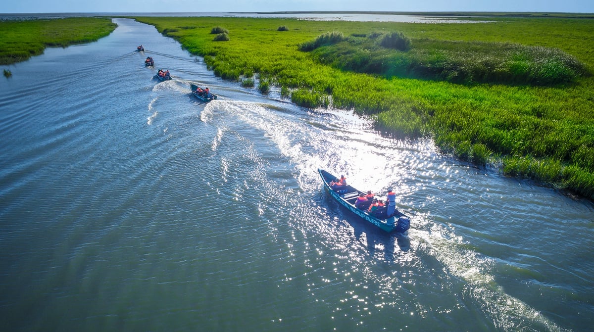 Donaudelta safari