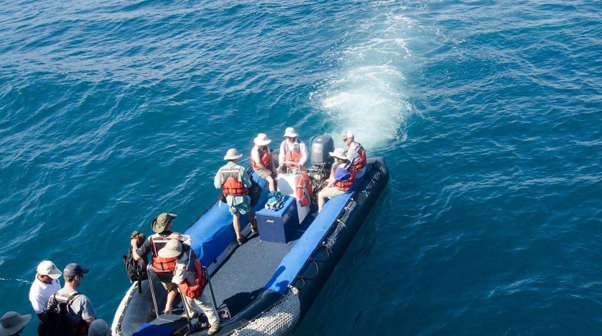 Expeditiecruise Galapagos