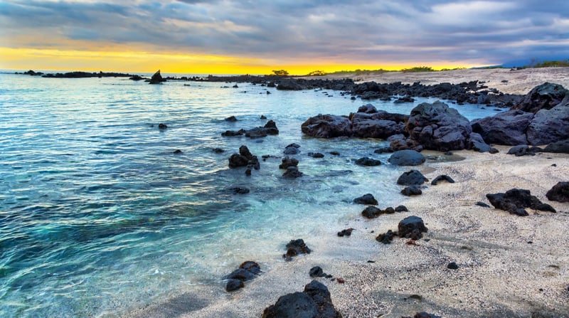 Expeditie cruise naar de Galapagos eilanden