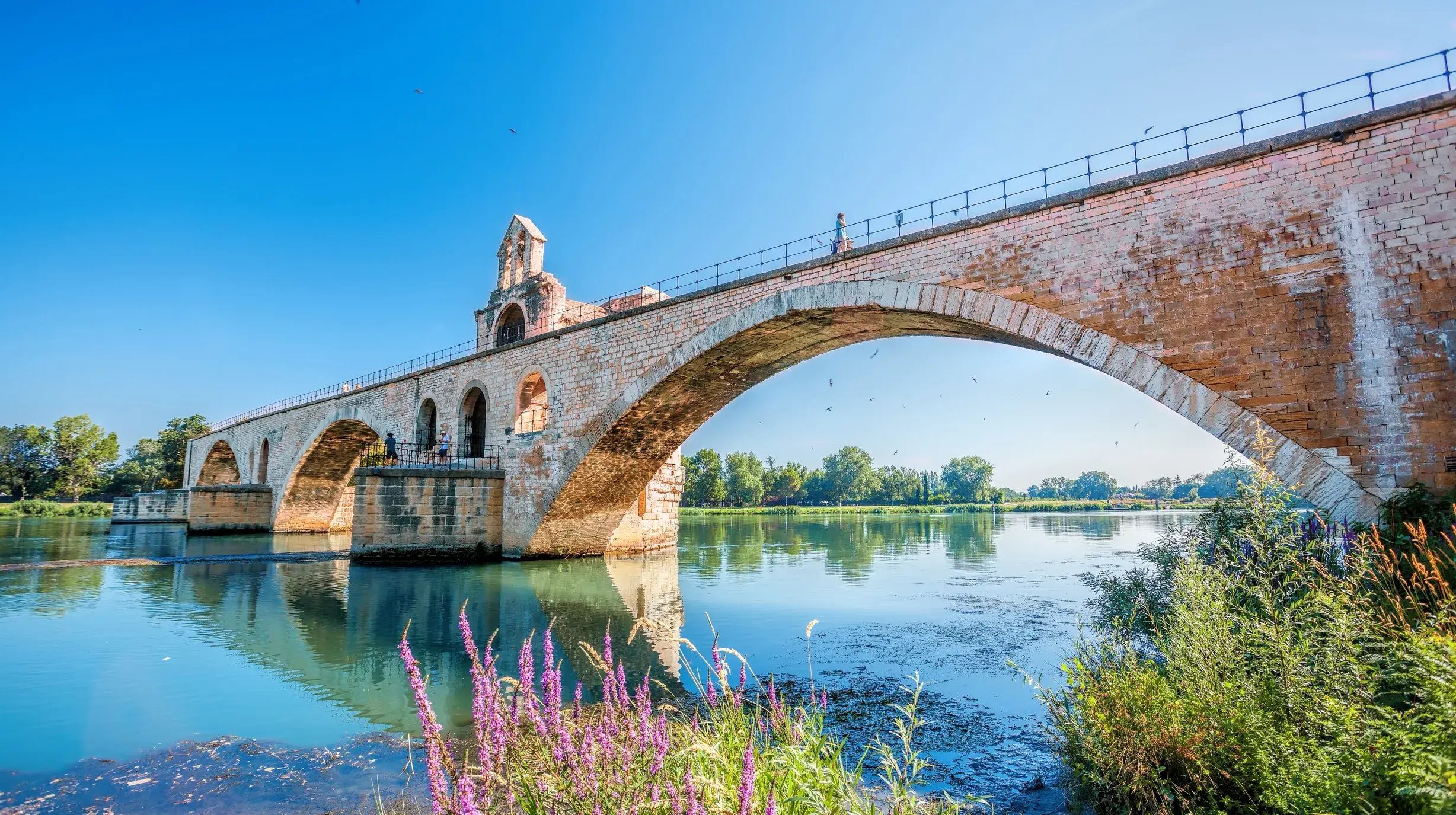 Avignon pont davignon